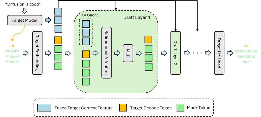 Архитектура DFlash Inference позволяет условно осуществлять спекулятивное выполнение, объединяя скрытые контекстные признаки целевой модели с кэшем Key-Value каждого черновика слоя.