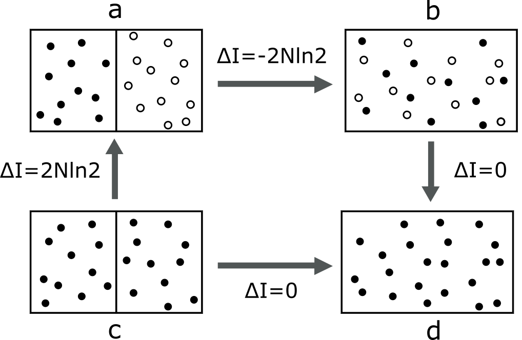 The analysis demonstrates that distinguishable particles initially separated by a wall possess [latex]2N\ln 2[/latex] nats of information regarding their respective sides, a quantity lost upon wall removal and manifesting instead as a mixing entropy of [latex]2kN\ln 2[/latex], while indistinguishable particles, or those freely intermixed, exhibit no discernible information difference-reflecting a fundamental equivalence in the observer’s knowledge of particle positions across scenarios.