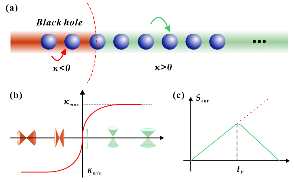 В рамках разработанной модели аналога чёрной дыры, реализованной посредством XY-спиновой цепи с зависящими от положения константами связи <span class="katex-eq" data-katex-display="false">\kappa_n</span>, наблюдается эволюция энтропии запутанности между внутренней и внешней областями, демонстрирующая линейный рост, соответствующий предсказаниям полуклассического излучения Хокинга на ранних стадиях, и последующее отклонение от этой линейности после времени Пейджа <span class="katex-eq" data-katex-display="false">t_P</span> - момента, когда примерно половица частиц излучена - с последующим монотонным спадом к нулю по мере полного испарения чёрной дыры.