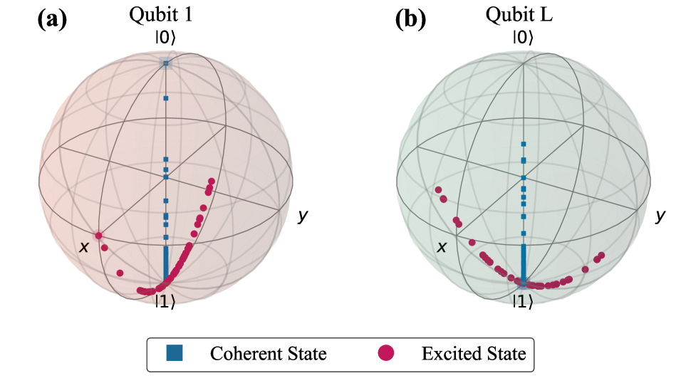 Simulations of quantum state evolution on the Bloch sphere reveal that both initial spin-up excitations <span class="katex-eq" data-katex-display="false">\ket{\uparrow}</span> (blue squares) and coherent superpositions <span class="katex-eq" data-katex-display="false">\ket{+}</span> (pink circles) trace distinct trajectories, as demonstrated for a qubit on site 1 of the system and a qubit in a bath of a chain with length <span class="katex-eq" data-katex-display="false">L=10</span> and discretization spacing <span class="katex-eq" data-katex-display="false">d=2</span>.