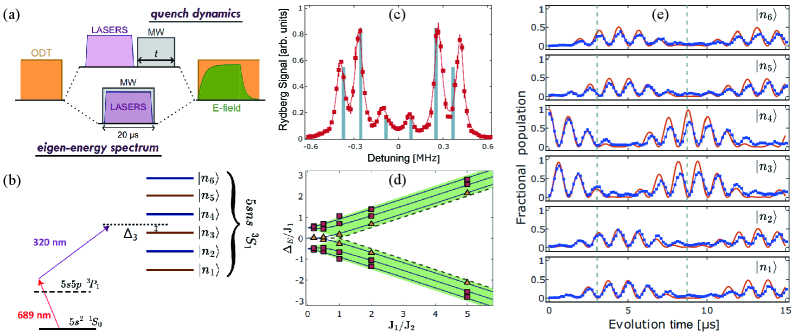 Experimental realization of a synthetic dimensional system using Rydberg atoms reveals a topological phase transition, evidenced by changes in excitation spectra <span class="katex-eq" data-katex-display="false">\Delta E</span> and population dynamics in the <span class="katex-eq" data-katex-display="false">n^{3}S_{1}</span> states as the tunneling ratio <span class="katex-eq" data-katex-display="false">J_{1}/J_{2}</span> is varied.