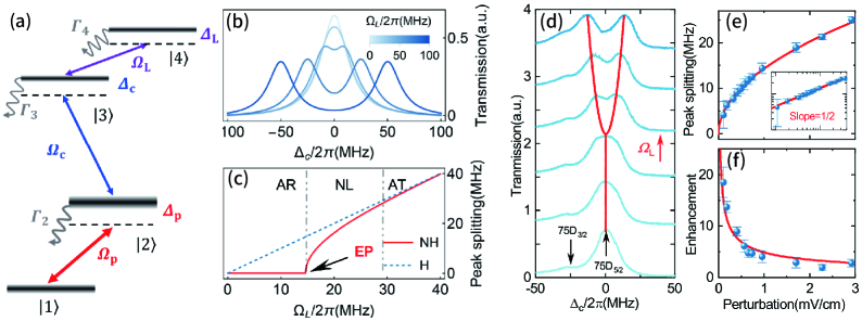 Measurements of a four-level Rydberg atomic system reveal that peak splitting in transmission spectra, modulated by microwave Rabi frequency <span class="katex-eq" data-katex-display="false">\Omega_L</span> and perturbation strength <span class="katex-eq" data-katex-display="false">\Omega_s</span>, demonstrates a transition from Hermitian (dashed blue) to non-Hermitian (solid red) behavior.