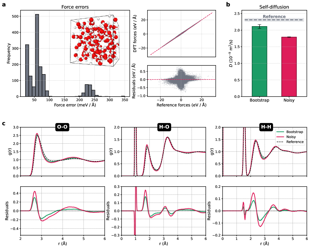 Анализ симуляций воды показал, что использование бутстрапа для зашумленных данных позволяет восстановить корректные значения коэффициента самодиффузии и радиальные функции межчастичных расстояний (<span class="katex-eq" data-katex-display="false">O-O</span>, <span class="katex-eq" data-katex-display="false">O-H</span>, <span class="katex-eq" data-katex-display="false">H-H</span>), приближаясь к результатам, полученным на чистых данных и подтверждаемым низкой среднеквадратичной ошибкой (RMSE) сил.