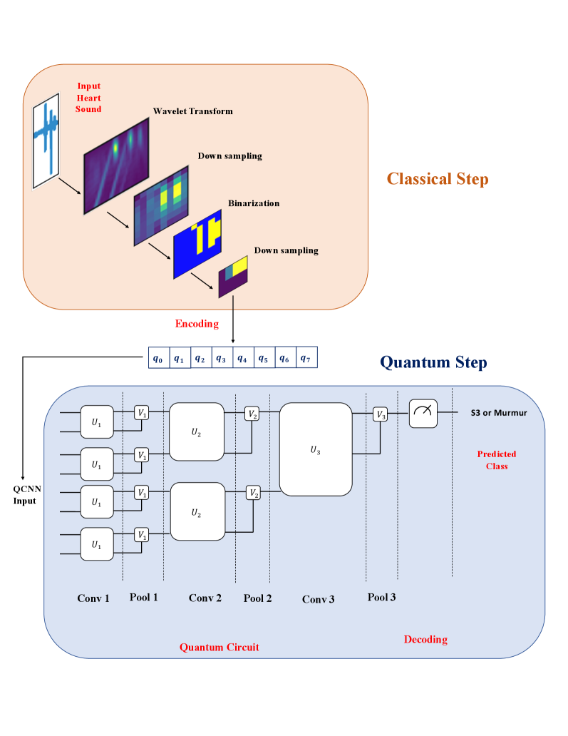 The proposed QuPCG model classifies heart sounds by transforming classical wavelet features into 8-qubit maps, processing them through successive quantum convolutional and pooling layers, and ultimately predicting the presence of an S3 heart sound or murmur via final measurement.