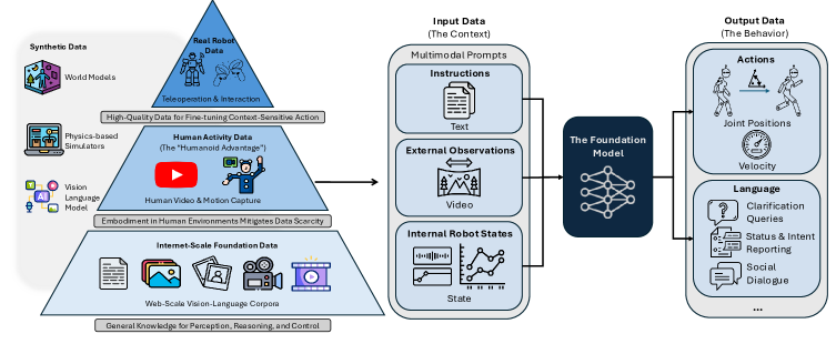 Визуализация представляет собой пирамиду данных, служащую основой для разработки фундаментальных моделей гуманоидов, и основана на концепции, предложенной в работе (Zhu, 2024).