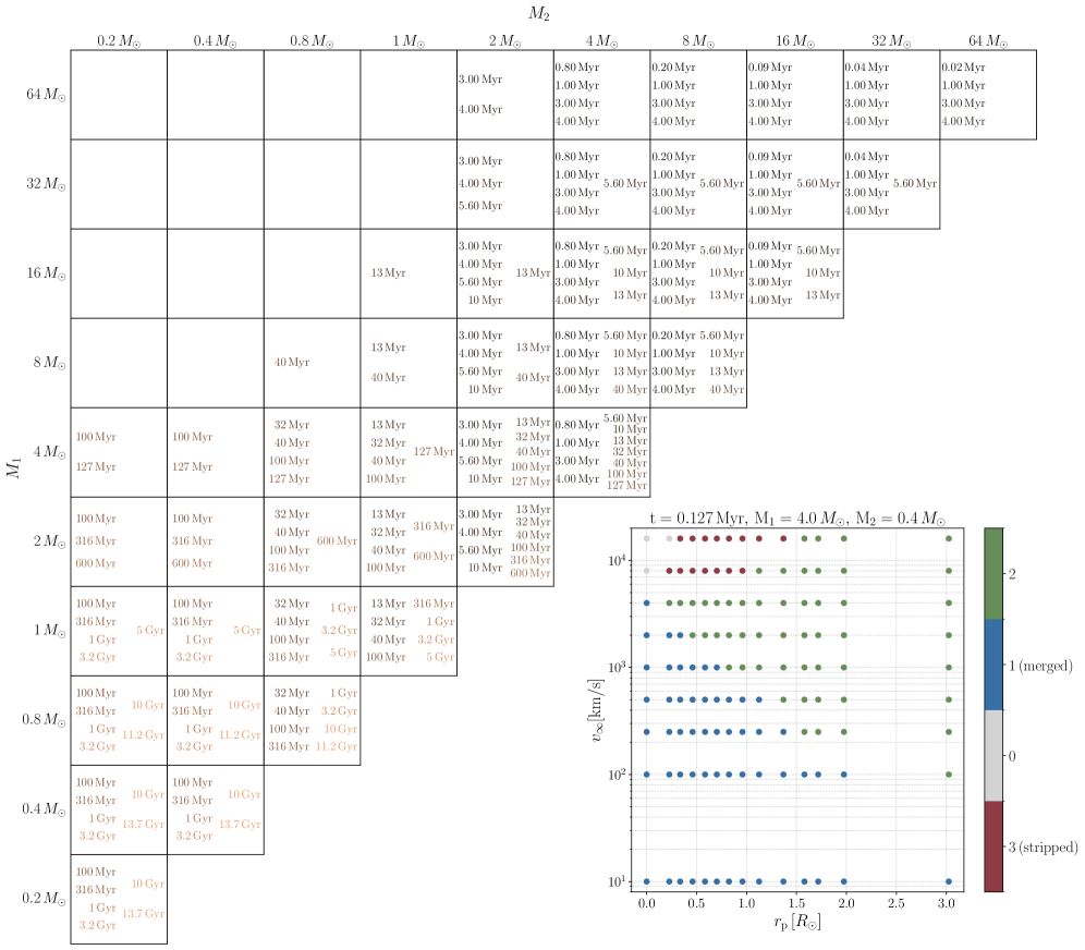 The study systematically mapped the outcomes of stellar collisions across a comprehensive range of primary and secondary masses, revealing how the resulting stellar remnants-whether fully merged or stripped of material-varied with collision parameters like pericenter distance <span class="katex-eq" data-katex-display="false">r_{p}</span> and velocity at infinity <span class="katex-eq" data-katex-display="false">v_{\in fty}</span>, ultimately demonstrating the complex interplay of these factors in shaping post-collision stellar evolution.