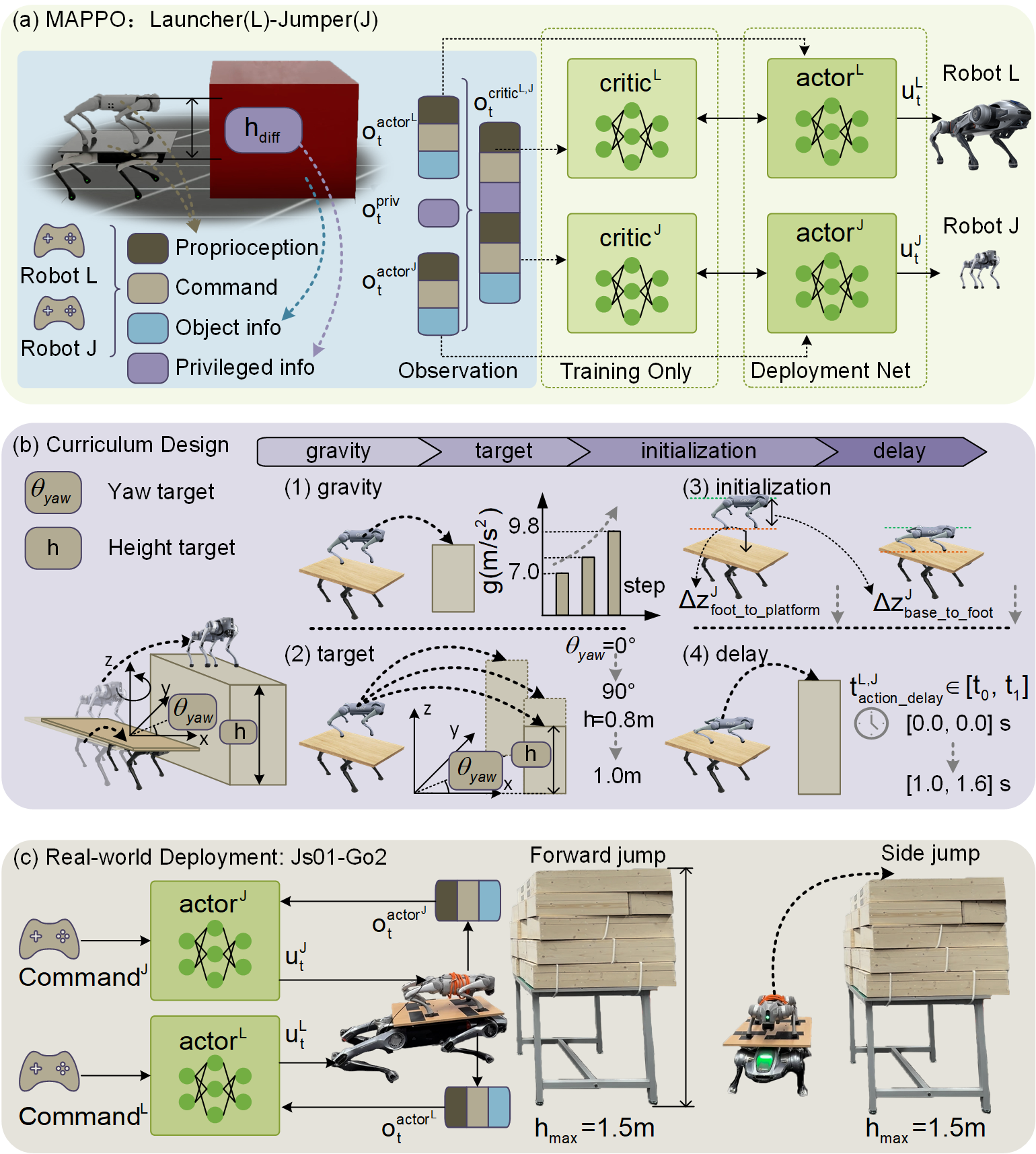 The Co-jump framework cultivates collaborative locomotion through a multi-agent proximal policy optimization (MAPPO) architecture-employing independent policy and value networks for each robot-and a four-stage curriculum learning progression-beginning with gravity adaptation, progressing to target acquisition, then initialization refinement, and finally, delay compensation-demonstrating its practical implementation on quadrupedal robots.