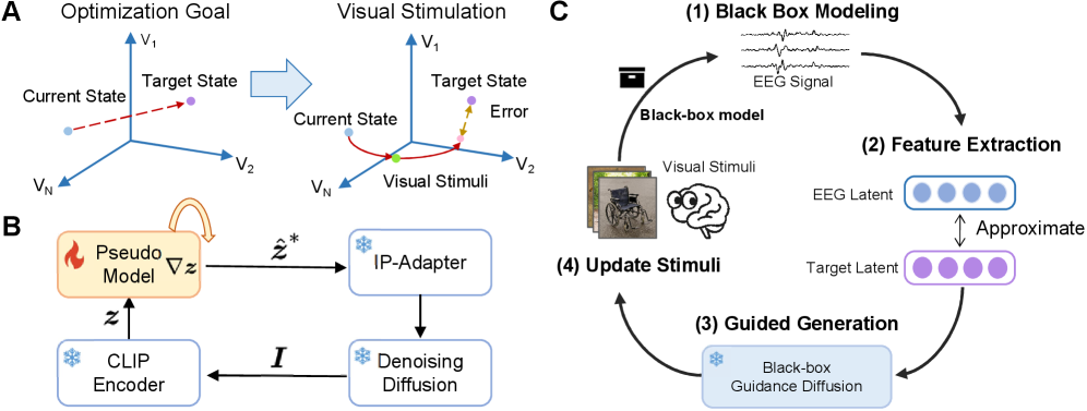 Система MindPilot непрерывно оптимизирует визуальные стимулы, стремясь направить латентное состояние мозга к целевому, используя псевдо-модель для итеративной настройки изображений на основе нейронных характеристик - семантических или спектральных - и формируя таким образом замкнутый цикл визуальной оптимизации.
