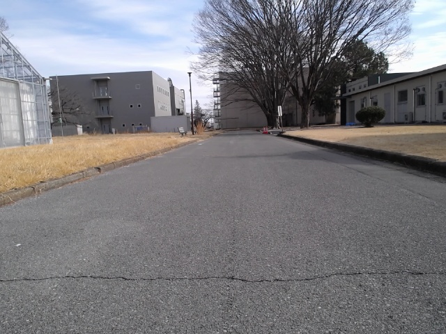 A vision-language model (VLM) successfully performs crowd recognition as demonstrated in the table.