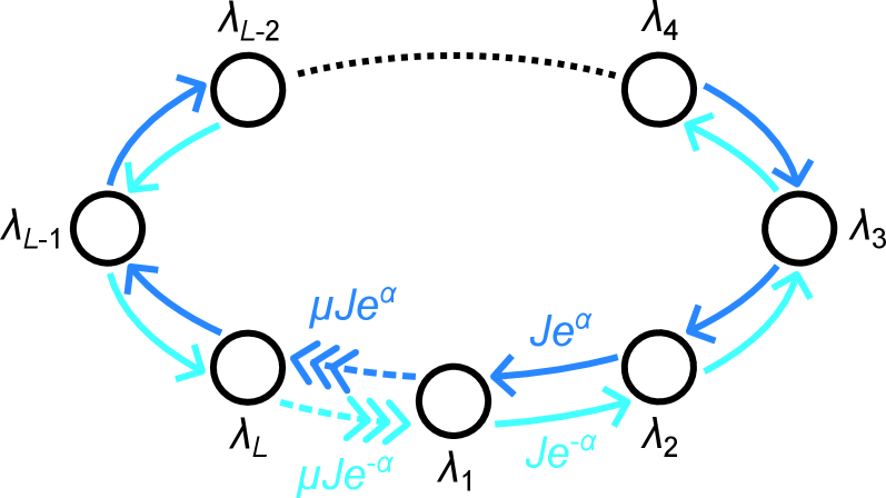 The system exhibits tunable, non-reciprocal hopping-characterized by strengths of [latex]J e^{\pm\alpha}[/latex]-coupled with a quasiperiodic onsite potential [latex]\lambda_{j}[/latex], and further refined by an impurity bond whose hopping strength is adjustable via parameter μ.