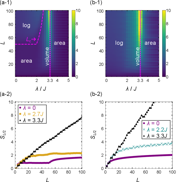 Отношение ожидаемой величины скачков на границе к скачкам в объеме системы демонстрирует зависимость от силы квазипериодического потенциала λ, при которой критическое значение <span class="katex-eq" data-katex-display="false">\lambda_c \approx 3.3J</span> определяет переход между режимами.