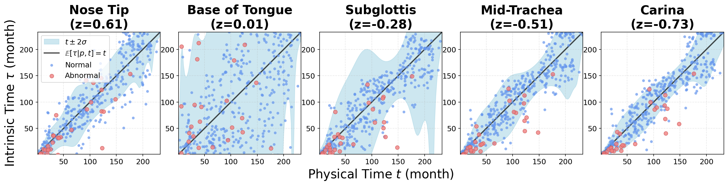 Анализ неопределенности, выполненный моделью PRISM, показывает, что предсказанный возраст развития дыхательных путей <span class="katex-eq" data-katex-display="false">\hat{\\tau}</span> в различных анатомических точках (от кончика носа до киля) отклоняется от хронологического возраста <span class="katex-eq" data-katex-display="false">t</span> у пациентов с нормальным (синий) и аномальным (красный) развитием, что отражено в затененной области <span class="katex-eq" data-katex-display="false">\hat{\\tau} \\pm 2\\sigma</span>.