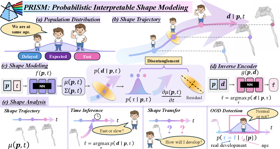 Предлагаемая структура PRISM позволяет моделировать индивидуальные траектории развития формы, учитывая как вариации в темпах развития, отраженные в деформациях, так и присущие характеристики формы, независимые от времени, что, в свою очередь, обеспечивает возможность оценки временной неопределенности посредством информации Фишера <span class="katex-eq" data-katex-display="false">\text{Eq. (9)}</span> и последующего решения задач анализа формы, включая построение популяционных траекторий, определение стадии развития, прогнозирование будущих форм и выявление отклонений от нормы на основе оценки правдоподобия наблюдаемой формы в рамках популяционного распределения.