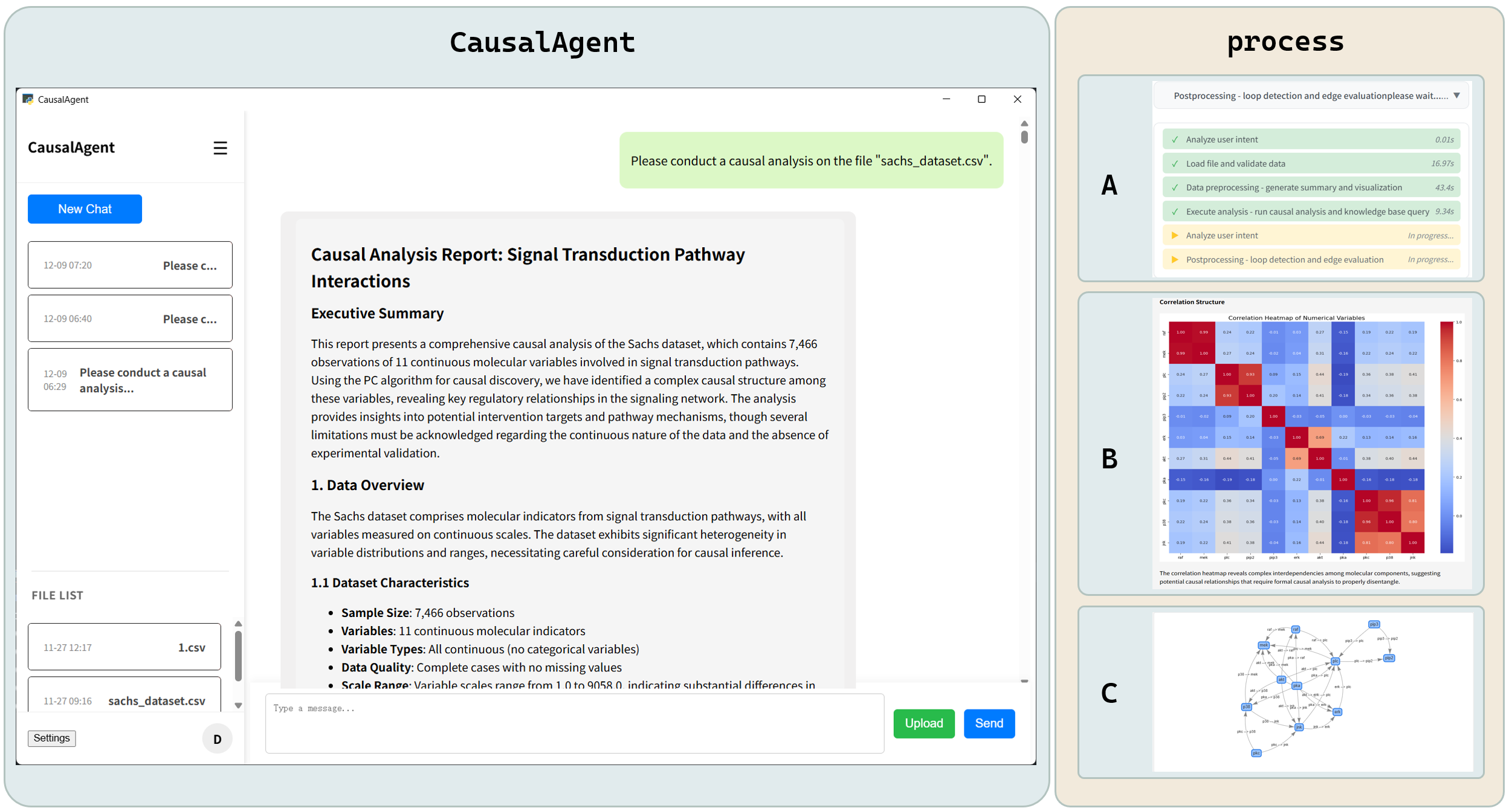 CausalAgent effectively infers causal relationships from the Sachs dataset, as demonstrated by its process, the resulting variable correlations, and the generated causal diagram.