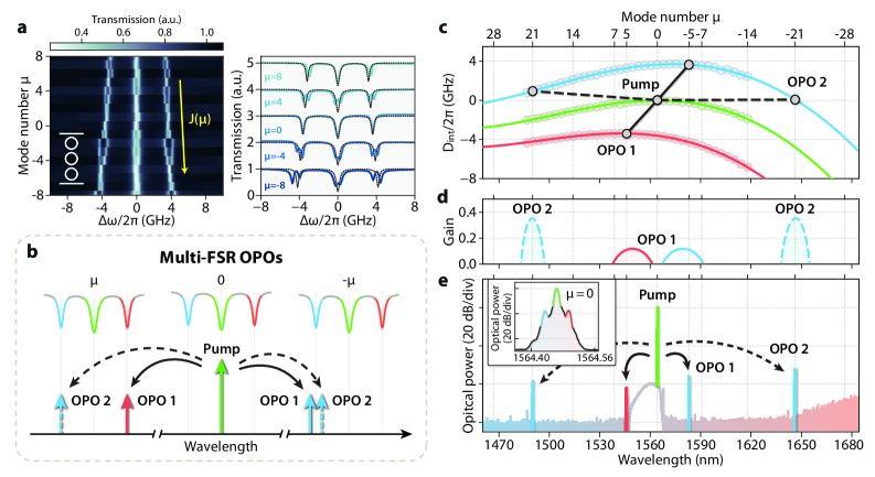 В гибридной системе резонаторов, состоящей из оптических параметрических осцилляторов (ОПО), наблюдается генерация когерентного излучения в супермодах, обусловленная фазовым согласованием, которое проявляется в виде пиков усиления в спектре (при <span class="katex-eq" data-katex-display="false">\mu=\pm 4</span> для ОПО 1 и <span class="katex-eq" data-katex-display="false">\mu=\pm 21</span> для ОПО 2), и подтверждается дисперсионными характеристиками супермод.