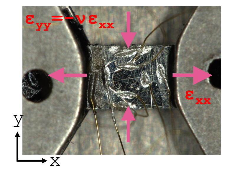 YbRh2Si2 single crystals were reliably mounted and positioned within a CS-100 Razorbill strain device, utilizing eight electrical contacts to monitor longitudinal and transverse strain.