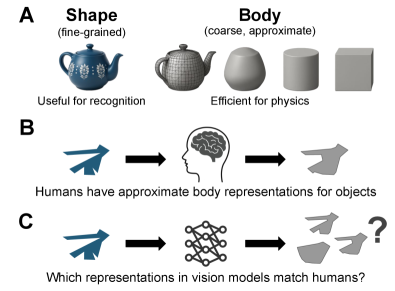Исследование направлено на выяснение, способны ли модели визуальной сегментации формировать представления об объектах, аналогичные тем, что используют люди для физического рассуждения - в частности, грубые представления о форме, позволяющие прогнозировать столкновения за счет «заполнения» вогнутых областей, при этом разные типы представлений оказываются полезными для решения различных задач, таких как физическое моделирование и распознавание объектов.