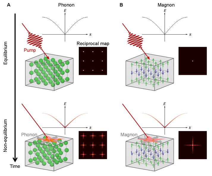 The study demonstrates how time-resolved diffuse scattering-observing the scattering of light around predictable reflections-can map the fleeting dance of atomic vibrations (phonons) and spin fluctuations (magnons) initiated by photoexcitation, effectively tracking the momentum of these collective excitations as they propagate through a material’s non-equilibrium state-a process revealing how energy initially absorbed as light transforms into dynamic, measurable motion within the material itself.