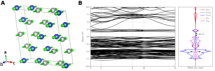 The antiferromagnetic electronic structure of CuO, as revealed by band structure and partial density of states calculations, exhibits a specific spin alignment along the z-direction.