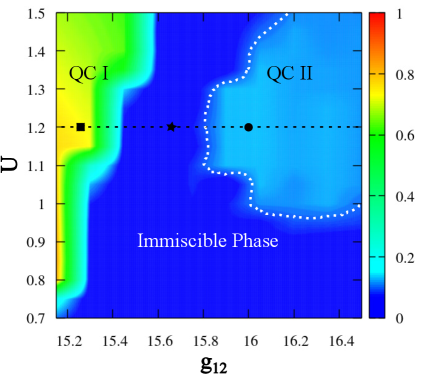 The phase diagram of a balanced binary Bose-Einstein condensate, determined by the overlap parameter <span class="katex-eq" data-katex-display="false">\mathcal{O}</span> and parameters <span class="katex-eq" data-katex-display="false">(g_{12}, U)</span>, reveals distinct phases including complete immiscibility, stable and metastable quasicrystalline states exhibiting eightfold symmetry, and a transition from spatial domain formation to complete phase separation.