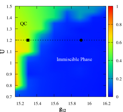 The phase diagram reveals that the imbalanced binary Bose-Einstein condensate exhibits quasicrystalline order in the coexistence phase <span class="katex-eq" data-katex-display="false">\mathcal{O}</span> (marked by the black square) and complete immiscibility (marked by the black circle) depending on the parameters <span class="katex-eq" data-katex-display="false">g_{12}</span> and <span class="katex-eq" data-katex-display="false">U</span>.
