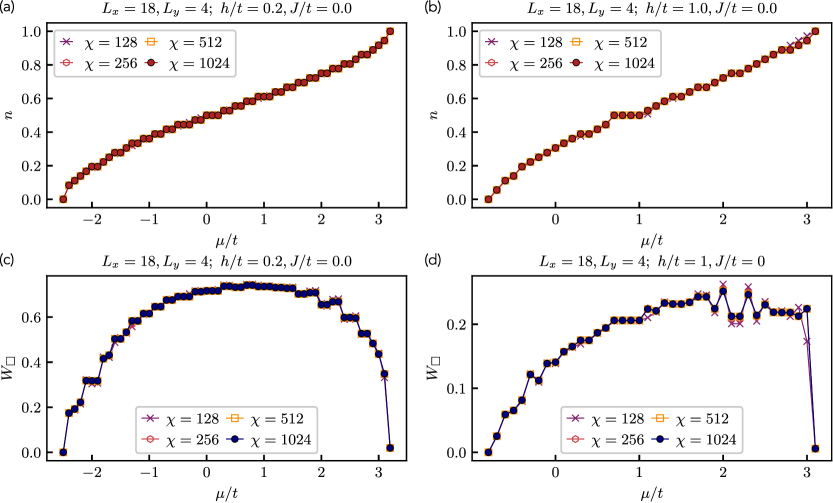 DMRG calculations of the <span class="katex-eq" data-katex-display="false">\mathbb{Z}_{2}</span> LGT demonstrate that filling and plaquette values converge rapidly with bond dimension χ around <span class="katex-eq" data-katex-display="false">\chi \gtrsim 256</span> for both low (<span class="katex-eq" data-katex-display="false">h/t = 0.2</span>) and higher (<span class="katex-eq" data-katex-display="false">h/t = 1</span>) confining fields.