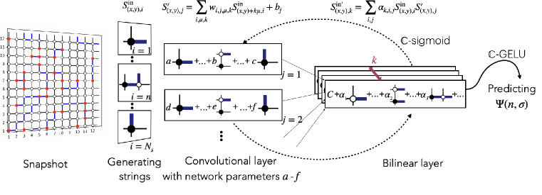 This neural quantum state architecture converts site information into variable-length strings, processes these snapshots with convolutional and bilinear layers, and ultimately predicts wave function coefficients using a final linear layer.