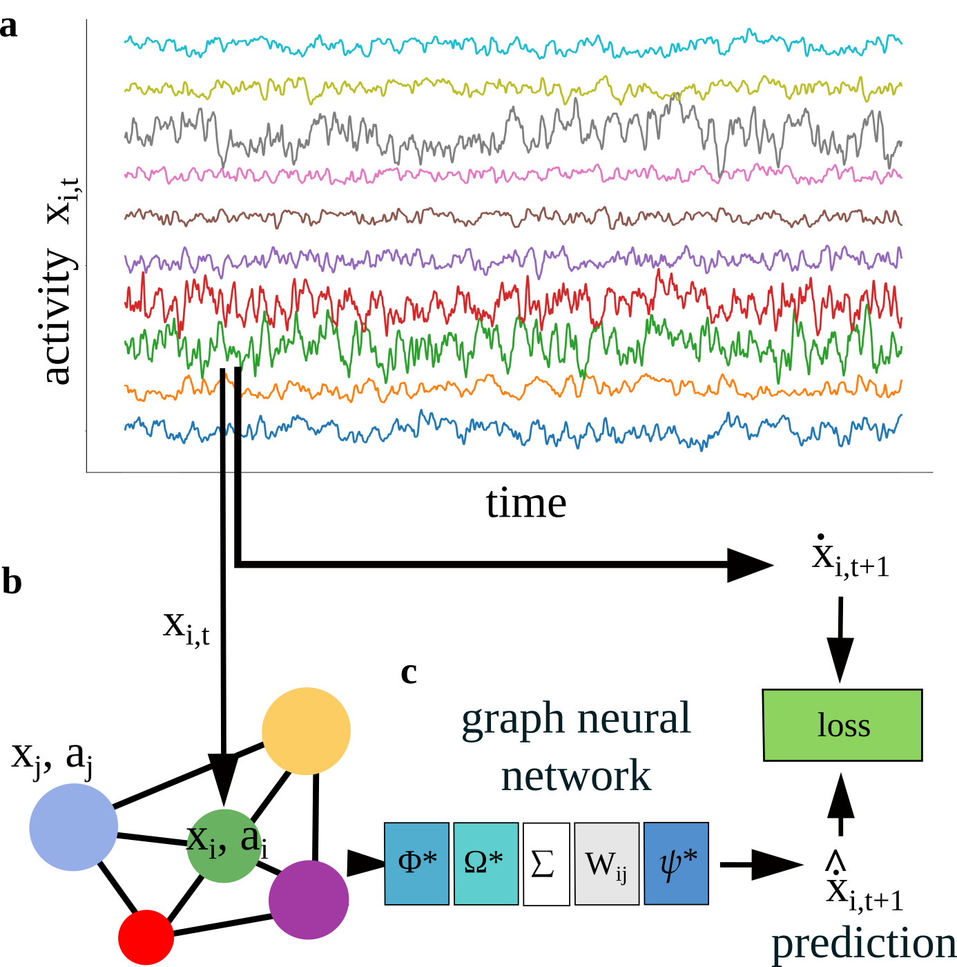 Моделирование нейронной сети преобразует временную активность нейронов в плотный граф, обрабатываемый графовой нейронной сетью, где каждый нейрон, получая сигналы от связанных нейронов, взвешивает их матрицей <span class="katex-eq" data-katex-display="false">\boldsymbol{W}</span>, преобразует функцией <span class="katex-eq" data-katex-display="false">\psi^{\<i>}</span> и обновляет свою активность посредством функций <span class="katex-eq" data-katex-display="false">\phi^{\</i>}</span> и <span class="katex-eq" data-katex-display="false">\Omega^{\*}</span>, используя, помимо наблюдаемой активности <span class="katex-eq" data-katex-display="false">x_i</span>, обучаемые латентные векторы <span class="katex-eq" data-katex-display="false">\boldsymbol{a}_i</span>.