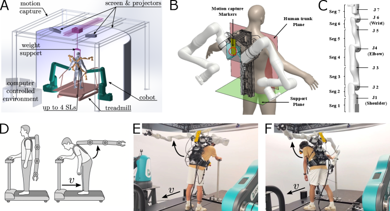 Экспериментальная установка включает в себя систему MUVE с захватом движения, раздельным беговой дорожкой, до четырех SL и двух коллаборативных роботов, а также протокол систематической индукции нестабильности в системе 