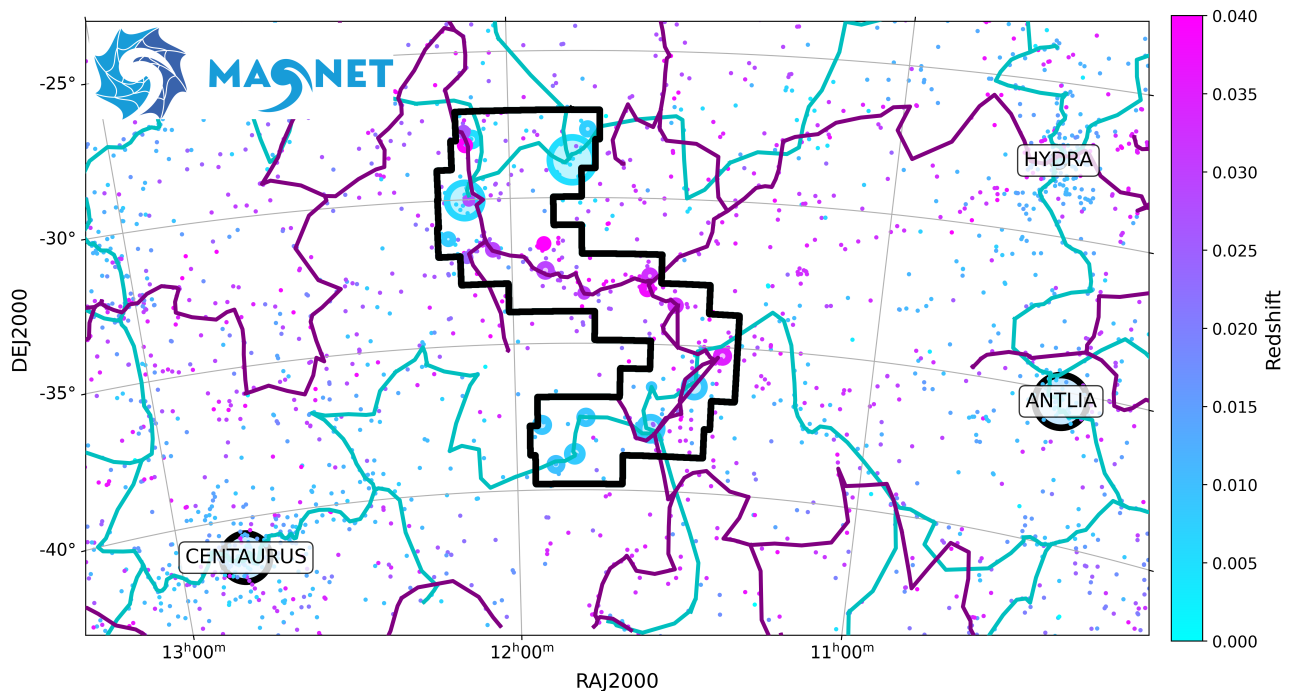 На изображении представлена карта поля MAGNET, демонстрирующая распределение галактик (точки) и групп галактик (круги, размер которых пропорционален их вириальным радиусам), окрашенных в соответствии с красным смещением, а также нитевидную структуру, идентифицированную алгоритмом DisPerSE в диапазонах <span class="katex-eq" data-katex-display="false">0 < z < 0.02</span> и <span class="katex-eq" data-katex-display="false">0.02 < z < 0.04</span>, при этом скопления Центавр, Гидра и Антилия, находящиеся за пределами поля MAGNET, служат ориентирами.