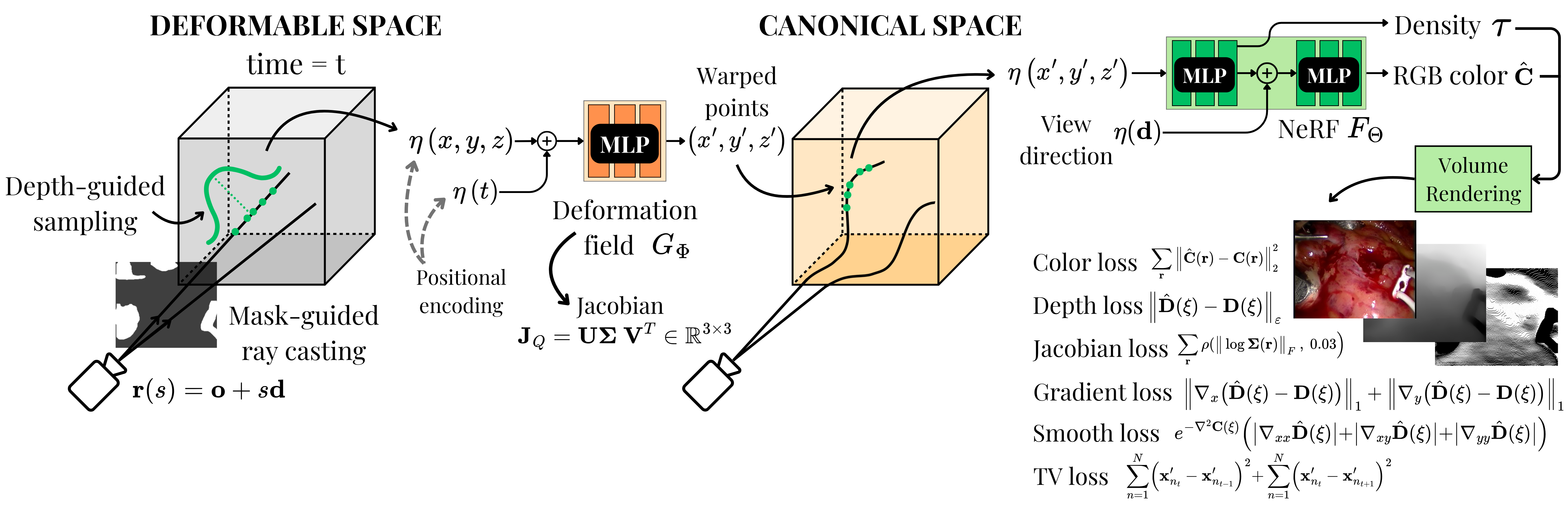Разработан конвейер NeRFscopy для реконструкции динамических сцен по эндоскопическим RGB-видео, позволяющий создавать модели, меняющиеся во времени.