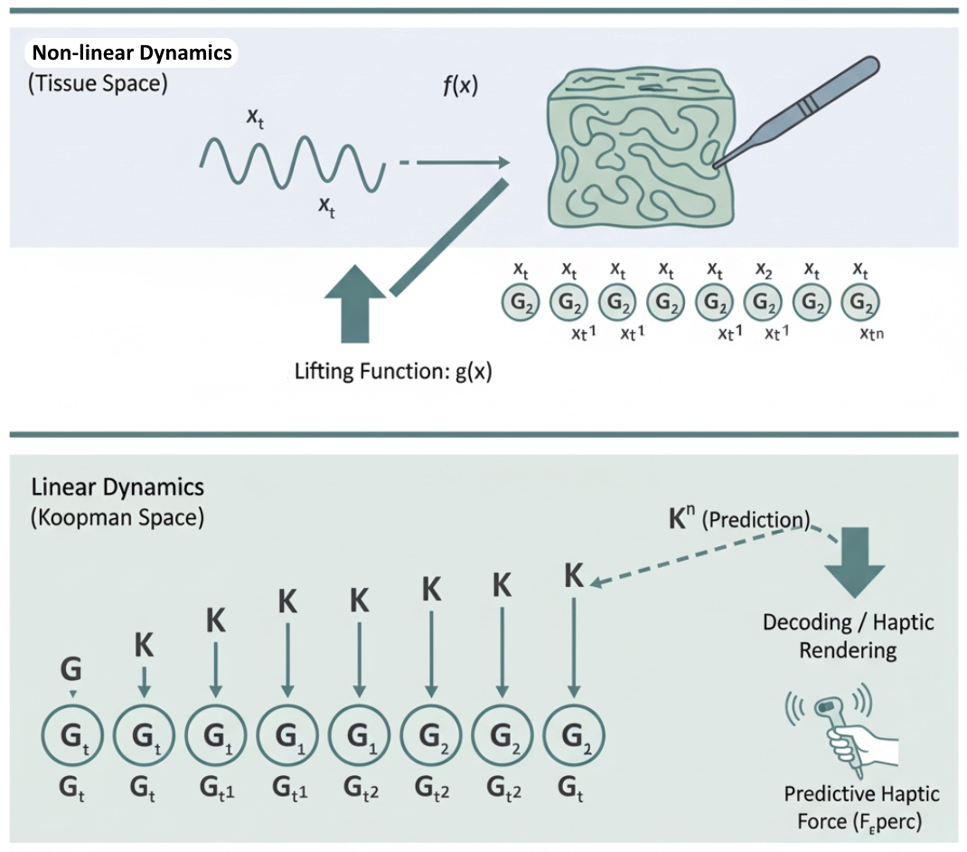 Динамика нелинейных тканей преобразуется в линейное пространство с помощью метода Купмана, что позволяет создавать прогностические тактильные ощущения.