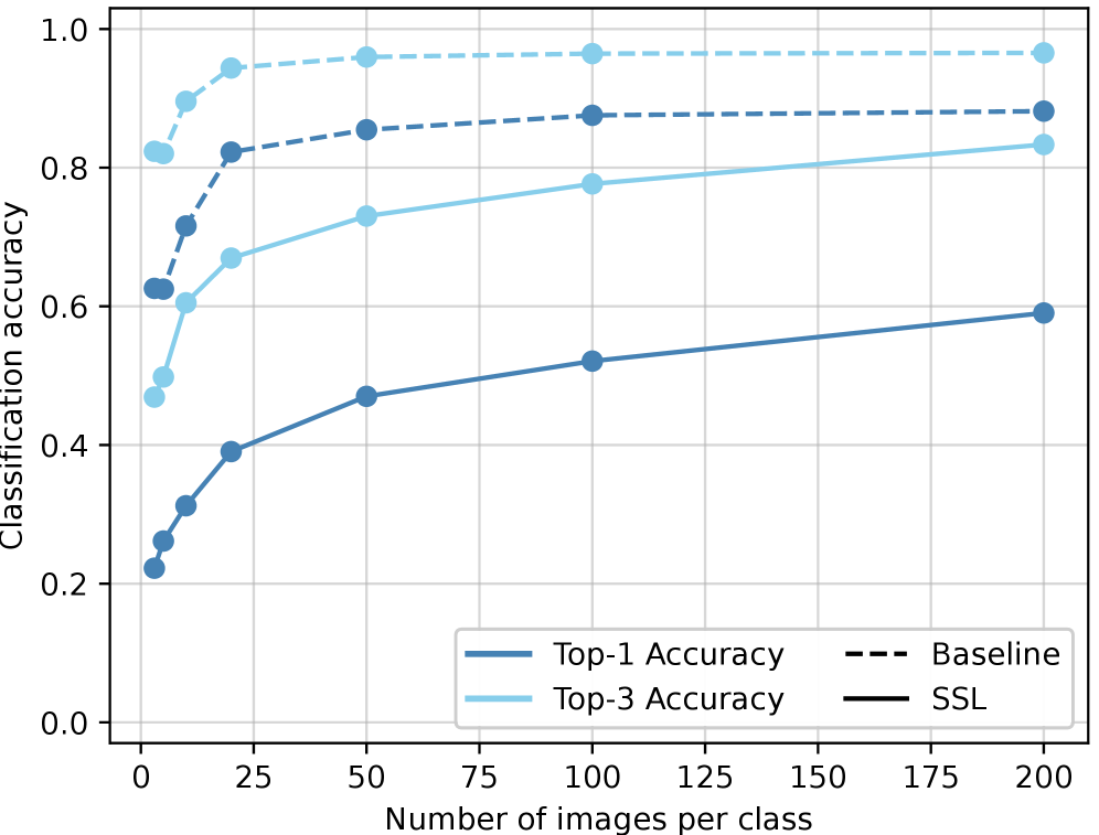 Результаты классификации показывают высокую точность как для Top-1, так и для Top-3, на обоих наборах данных.