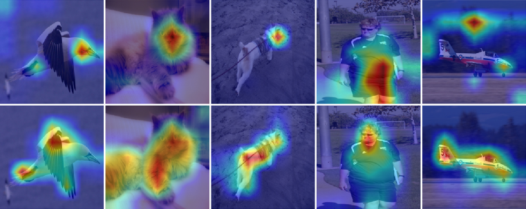 Анализ тепловых карт, полученных с помощью Grad-CAM для изображений из PascalVOC, показывает, что базовая модель фокусируется на отдельных фрагментах объектов, в то время как SSL-бэкбон эффективно захватывает всю форму объекта и его ключевые признаки.