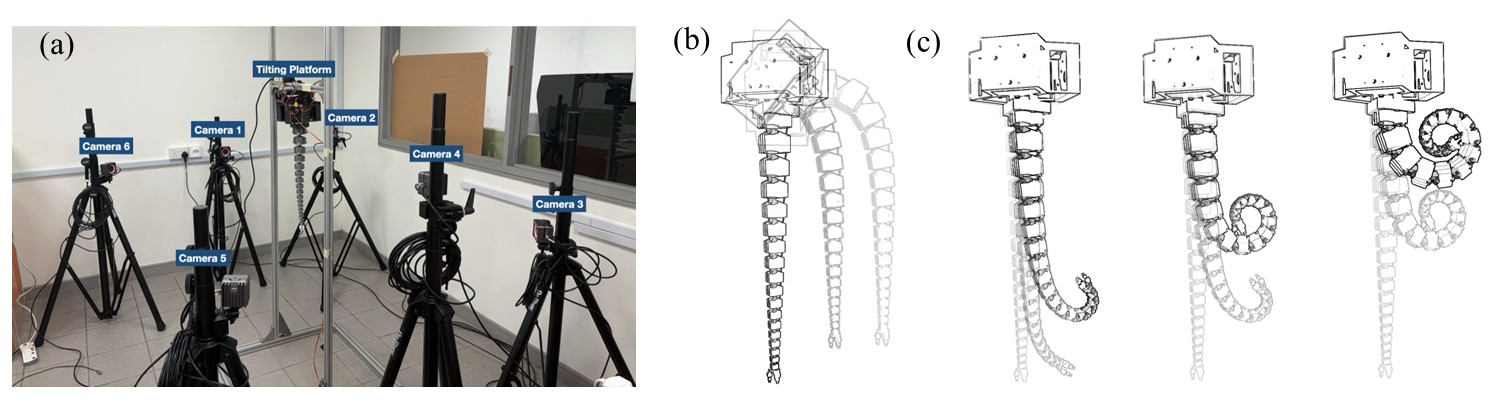 Экспериментальная установка, включающая мягкую руку и систему захвата движения с шестью инфракрасными камерами, использовалась для определения характеристик изгиба и демпфирования отдельных секций руки, что позволило оценить параметры управления и приводов (см. Таблицы IExp.1, IExp.2 и IExp.3).