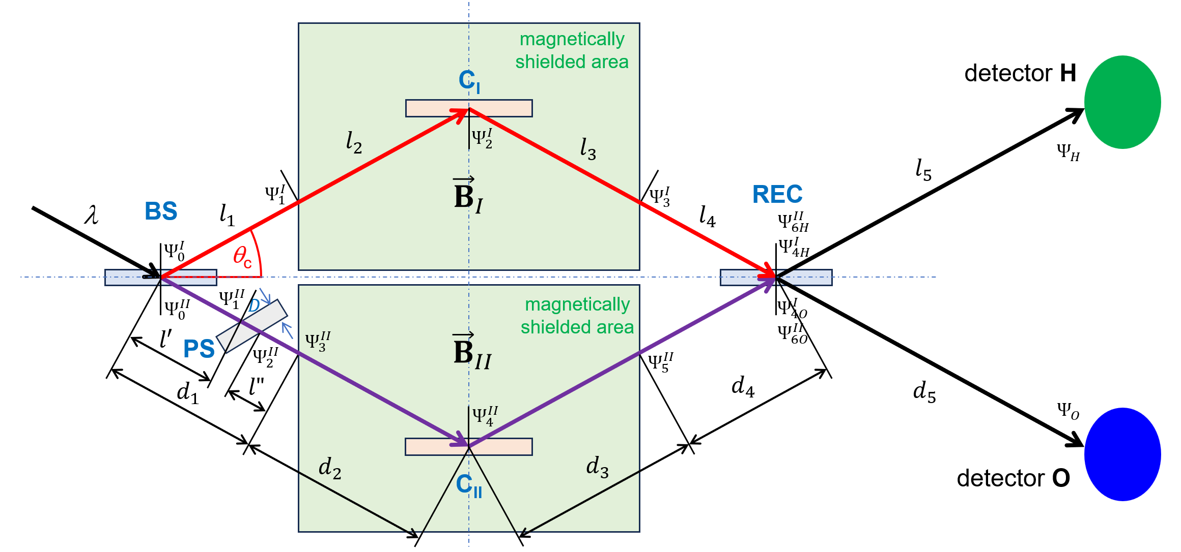 A neutron interferometer manipulates the phase of quantum particles by directing them along magnetically shielded paths-split, reflected, and recombined-and modulating an applied field [latex]\vec{\bf B}\_{II}[/latex] via a phase shifter, thereby demonstrating control over their interference patterns at detectors.
