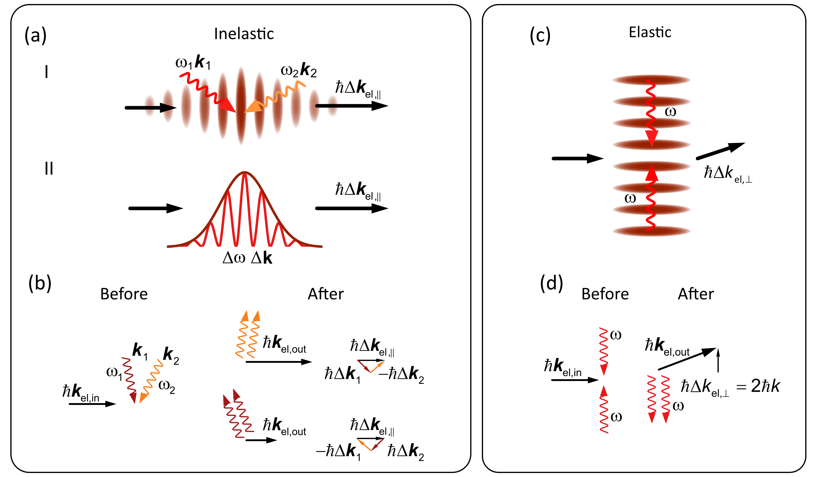The study elucidates the distinct behaviors of free electron light interactions, demonstrating how the ponderomotive potential-shaped by both traveling waves and single laser pulses-governs inelastic scattering processes, including energy gain and loss via stimulated Compton scattering, while also enabling purely elastic interactions as manifested in the Kapitza-Dirac effect, a phenomenon wherein electrons are deflected without energy exchange.