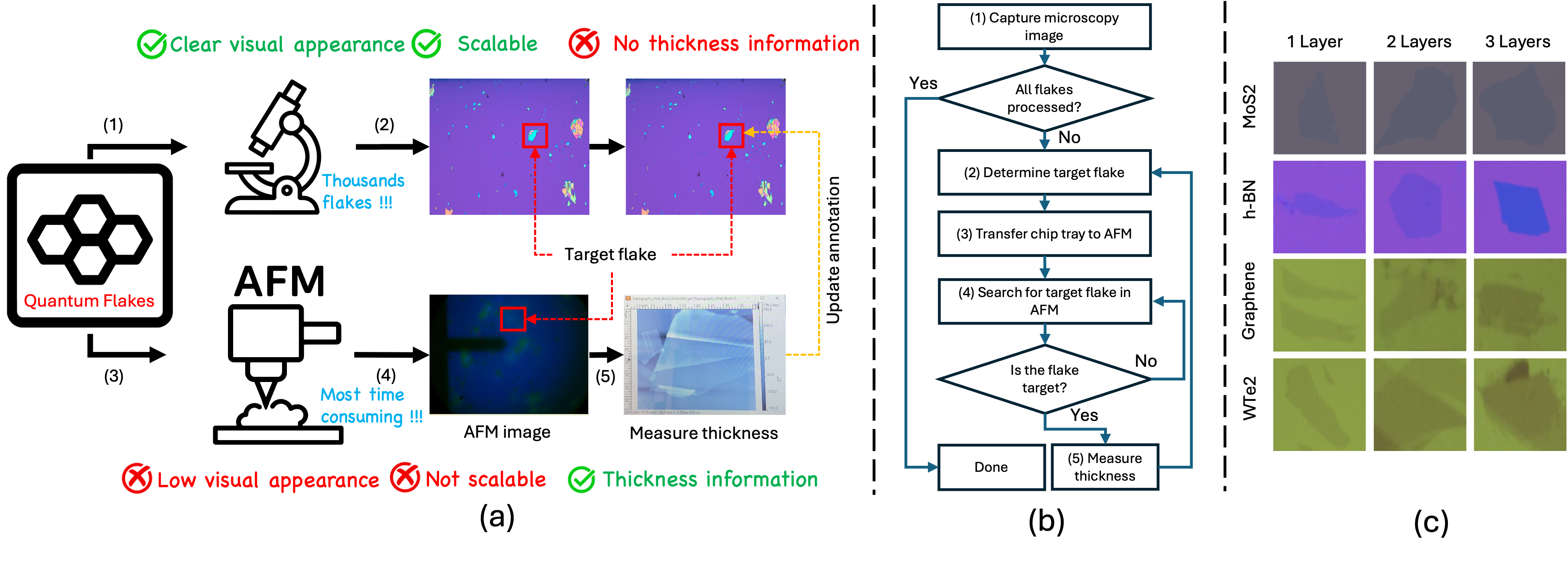 Characterizing quantum flakes is challenging because microscopy quickly identifies flakes but doesn't measure thickness, while accurate atomic force microscopy is slow, and distinguishing between flake layers (e.g., 1, 2, or 3 layers of <span class="katex-eq" data-katex-display="false">MoS_2</span>, <span class="katex-eq" data-katex-display="false">h-BN</span>, Graphene, or <span class="katex-eq" data-katex-display="false">WTe_2</span>) from optical images alone is visually difficult, necessitating a labor-intensive manual workflow.