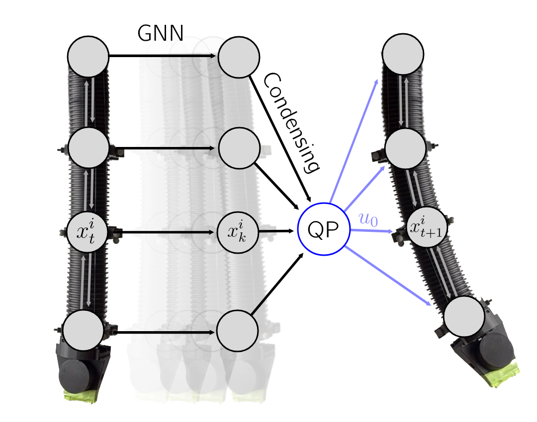A soft robotic trunk is modeled as a network of interconnected segments, enabling the computation of linearized dynamics through a Graph Neural Network and subsequent optimization via a Quadratic Program to determine control inputs-applied in a receding-horizon manner-that govern the trunk’s movement.