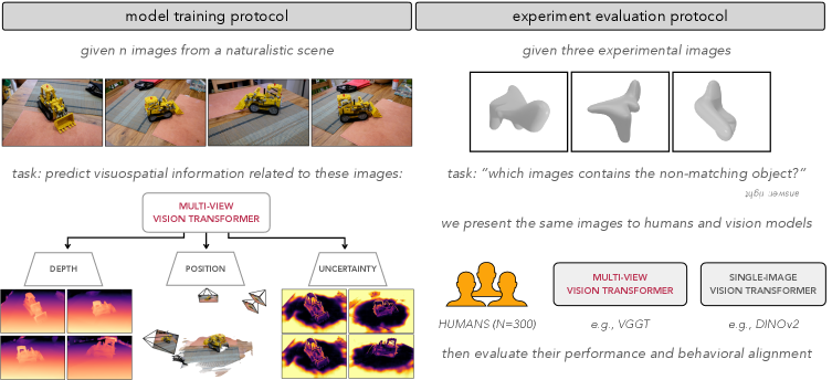 Обученная на масштабных многовидовых данных, новая архитектура трансформеров (VGGT-1B) позволяет извлекать информацию о глубине, положении камеры и неопределенности, подобно человеческому зрению и проприоцепции, и успешно выполняет задачу визуальной дискриминации объектов на основе анализа изображений с разных точек зрения.