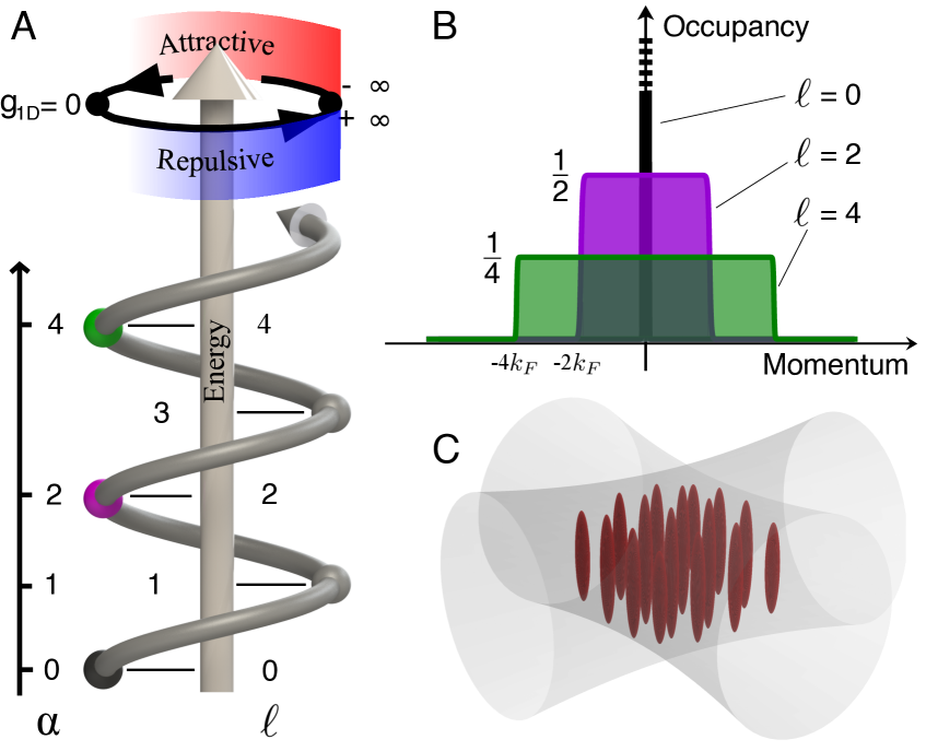 The emergence of fractional flux strings-manifestations of topology in a one-dimensional Bose gas-becomes apparent as the system transitions from repulsive to attractive interactions, passing through a singular point where these strings materialize at momenta dictated by a charge parameter, a phenomenon realized both theoretically and experimentally via arrays of vertically oriented atomic tubes within a two-dimensional optical lattice.