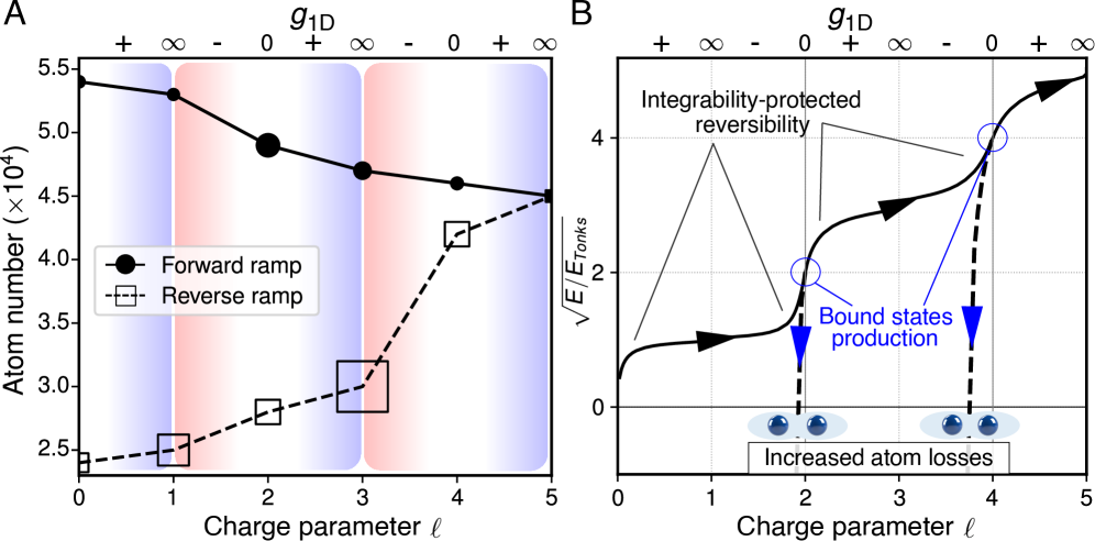 Atomic loss measurements reveal irreversible interaction cycles, with the system losing atoms during attractive phases <span class="katex-eq" data-katex-display="false">g_{1D}</span> and exhibiting a sharp energy decrease due to negative binding energy as confirmed by GHD simulations.