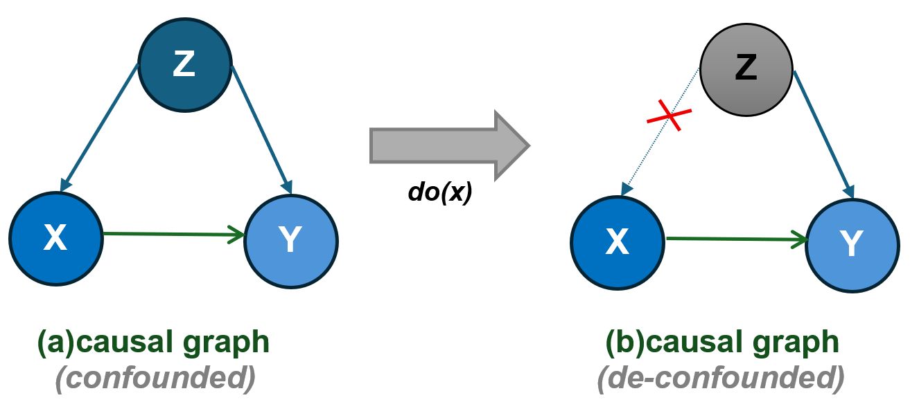 The system reveals how discerning causal relationships-specifically isolating the effect of one variable on another despite the influence of a third-is fundamental, as demonstrated by the ability to differentiate a scenario where a factor impacts both observed variables from one where its influence is neutralized to reveal the true relationship between them, akin to untangling interwoven dependencies to understand direct consequence.