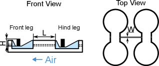 This sequential pneumatic network demonstrates a system design for controlling fluid flow in a specific order.