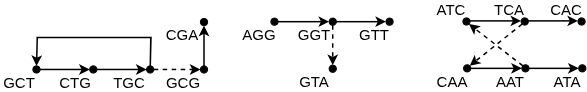 The algorithm successfully converts two paths, <span class="katex-eq" data-katex-display="false">ATCAC</span> and <span class="katex-eq" data-katex-display="false">CAATA</span>, into a closed necklace structure based on the base cycle <span class="katex-eq" data-katex-display="false">ATCAA</span> and pendants <span class="katex-eq" data-katex-display="false">CAC</span>, <span class="katex-eq" data-katex-display="false">ATA</span>.