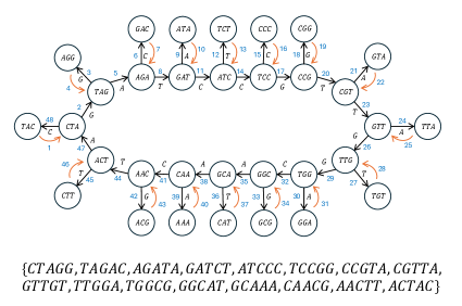 The study demonstrates that a de Bruijn graph, constructed from a string set-specifically [latex]I=\{X=ACTAGATCCGTTGGCAACTA, ACTAC, CTAGG, TAGAC, AGATA, GATCT, ATCCC, TCCGG, CCGTA, CGTTA, GTTGT, TTGGA, TGGCG, GGCAT, GCAAA, CAACG, AACTT\} [/latex] with [latex] fork=4 [/latex], [latex] k=4 [/latex], and [latex] n=|\Sigma|^{k-2}=4^{2}=16 [/latex]-can yield a concise, closed necklace representation requiring 32 symbols and 32 parentheses (64 characters total), or alternatively, an Euler tig solution generating 80 plaintext characters, highlighting a fundamental tension between representational efficiency and direct textual output.