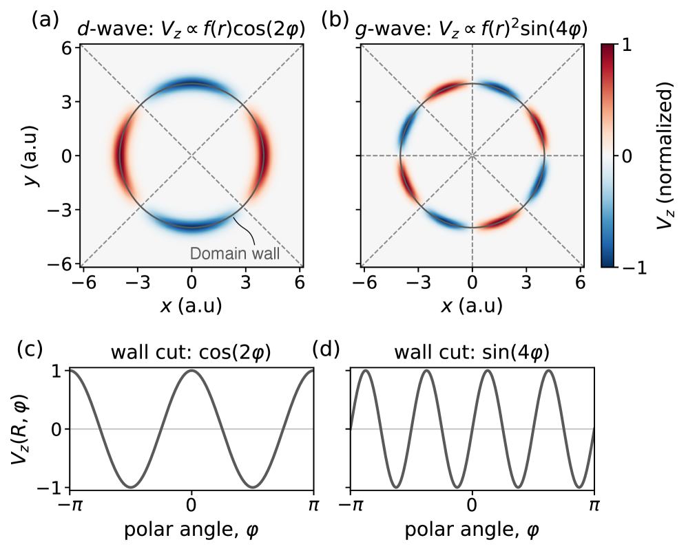 Simulations reveal that altermagnetic domain walls generate localized, multipolar emergent Zeeman fields-quadrupolar in add-wave materials and octupolar in agg-wave materials-with angular dependence described by <span class="katex-eq" data-katex-display="false">\cos(2\varphi)</span> and <span class="katex-eq" data-katex-display="false">\sin(4\varphi)</span>, offering a new method to probe altermagnetic order.