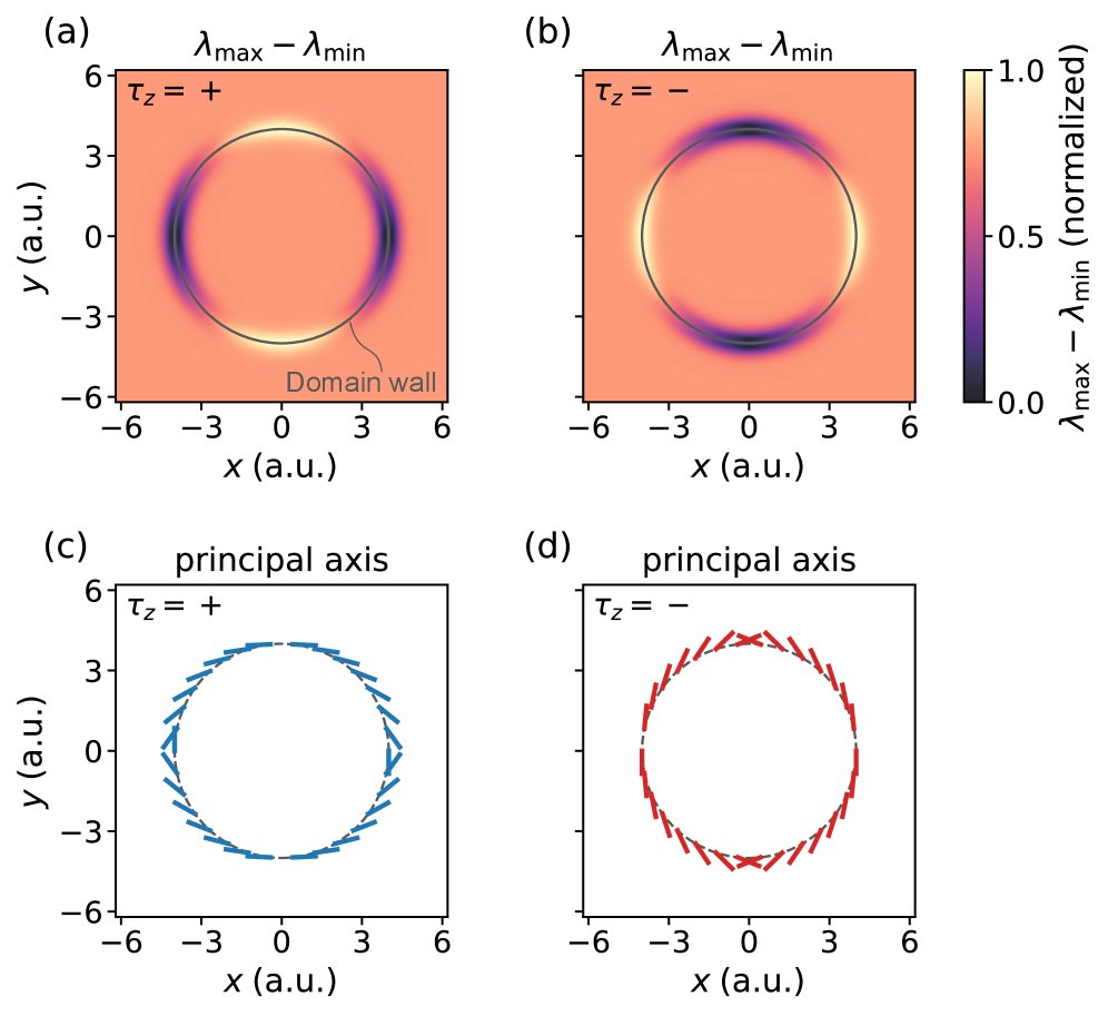 The effective metric near a circular domain wall, visualized by the difference between its maximum and minimum eigenvalues <span class="katex-eq" data-katex-display="false">\lambda_{\max} - \lambda_{\min}</span>, reveals an elliptical momentum-space dispersion whose orientation is dictated by the major axis of the ellipse and aligns with the domain wall.