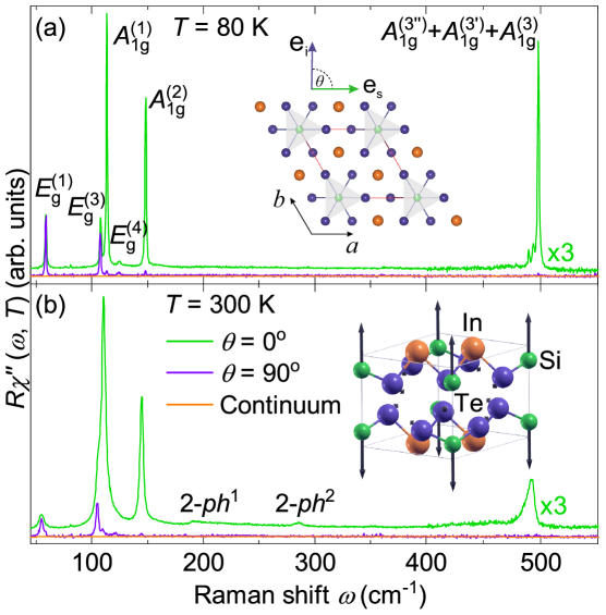 The Raman spectra of [latex]\mathrm{InSiTe}_3[/latex] reveal polarization-dependent vibrational modes at both 80 K and 300 K, with the [latex]A_{1g}^{(3)}[/latex] mode exhibiting displacement patterns confined to silicon atoms and demonstrating that the material’s response is governed by interatomic forces, irrespective of crystallographic orientation relative to incident and scattered light.