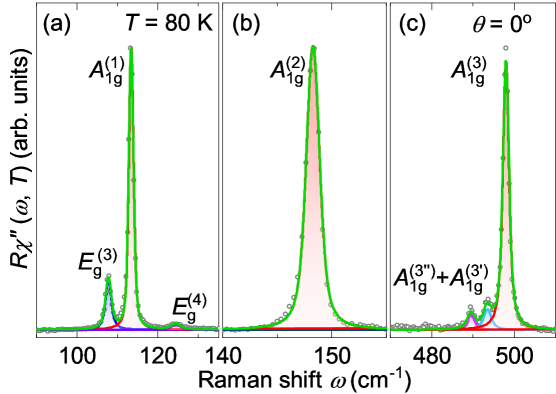 Phonon excitations, modeled with Voigt profiles in a parallel polarization configuration at 80 K, reveal the presence of both <span class="katex-eq" data-katex-display="false">A_{1g}</span> and <span class="katex-eq" data-katex-display="false">E_{g}</span> symmetry phonons.